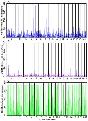 The Genomic Landscape of Crossover Interference in the Desert Tree Populus euphratica